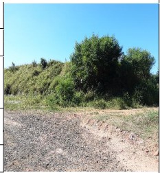 Terreno - Venda, JARDIM ELITE, TAMBAU, SP